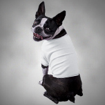 Ropa De Mascota - Learn More